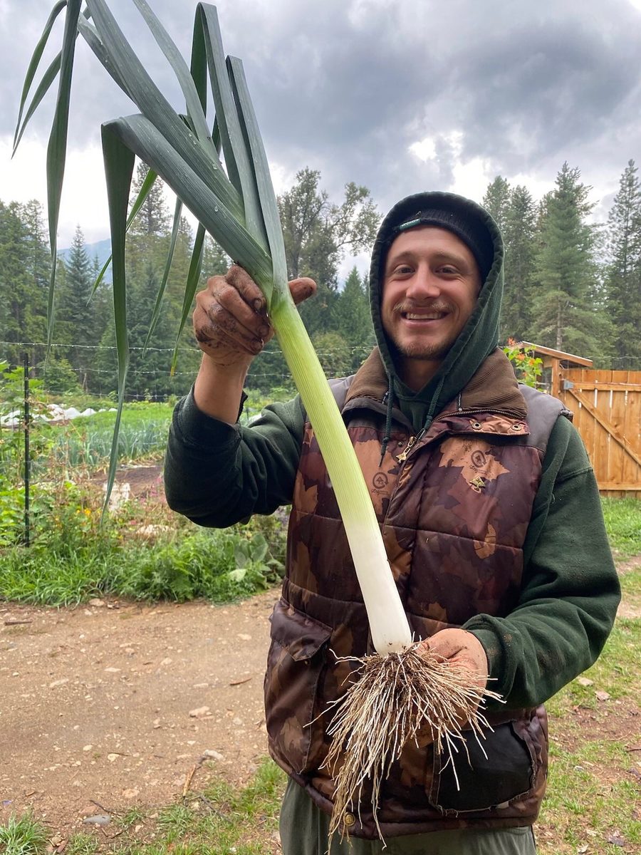 A grower holding up a freshly harvested leek